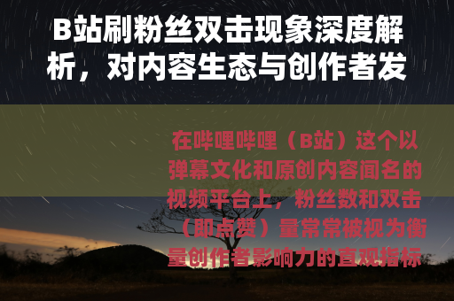 B站刷粉丝双击现象深度解析，对内容生态与创作者发展的实际观察