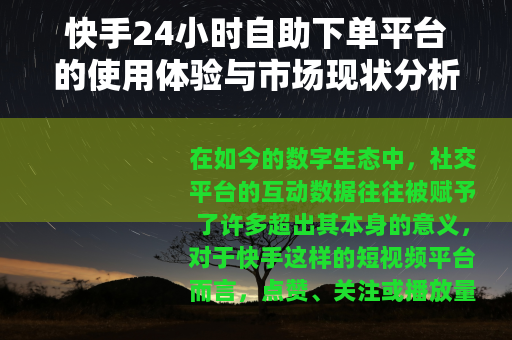 快手24小时自助下单平台的使用体验与市场现状分析