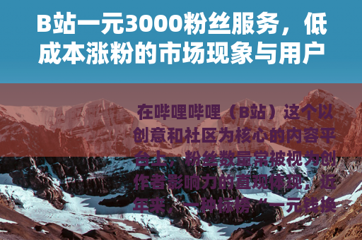 B站一元3000粉丝服务，低成本涨粉的市场现象与用户心理剖析