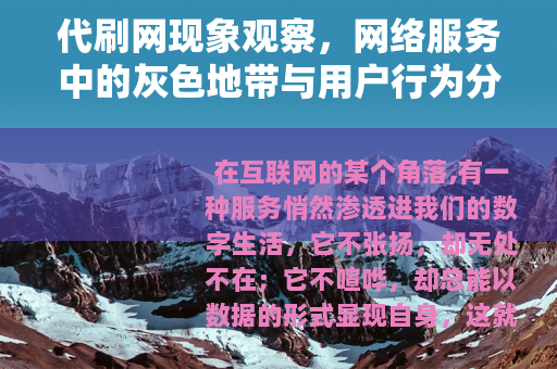 代刷网现象观察，网络服务中的灰色地带与用户行为分析
