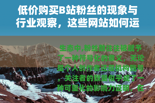 低价购买B站粉丝的现象与行业观察，这些网站如何运作？