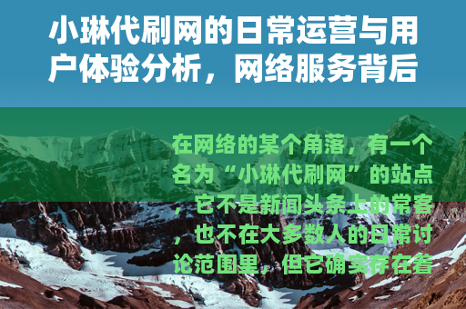 小琳代刷网的日常运营与用户体验分析，网络服务背后的实际生态观察