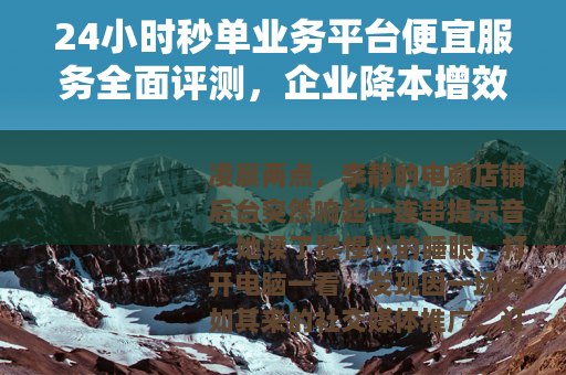 24小时秒单业务平台便宜服务全面评测，企业降本增效的实际选择