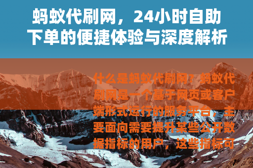 蚂蚁代刷网，24小时自助下单的便捷体验与深度解析