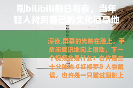 刷bilibili的日与夜，当年轻人找到自己的文化栖息地