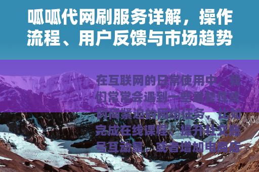 呱呱代网刷服务详解，操作流程、用户反馈与市场趋势