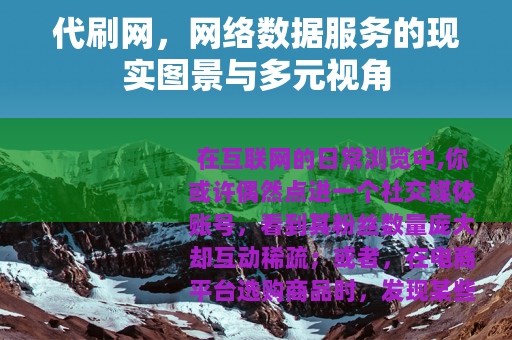 代刷网，网络数据服务的现实图景与多元视角