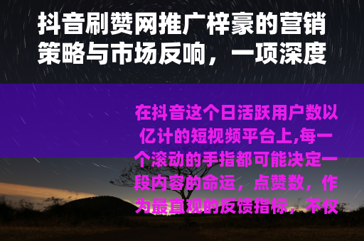 抖音刷赞网推广梓豪的营销策略与市场反响，一项深度案例分析