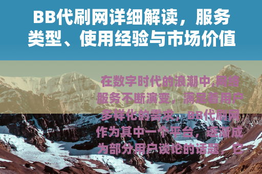 BB代刷网详细解读，服务类型、使用经验与市场价值分析