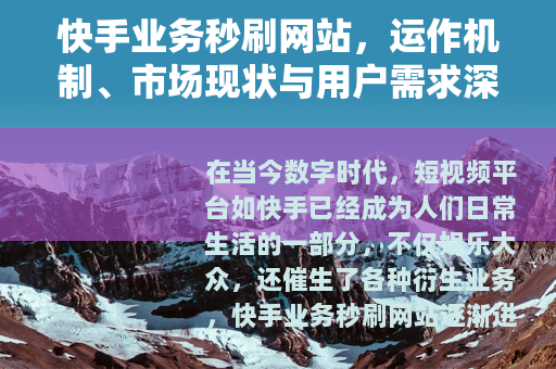 快手业务秒刷网站，运作机制、市场现状与用户需求深度分析