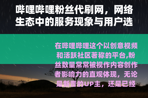 哔哩哔哩粉丝代刷网，网络生态中的服务现象与用户选择分析