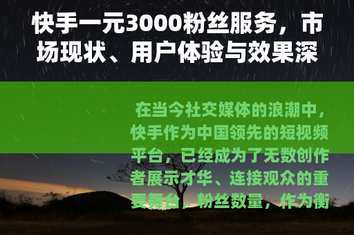 快手一元3000粉丝服务，市场现状、用户体验与效果深度分析