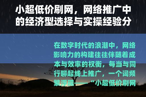 小超低价刷网，网络推广中的经济型选择与实操经验分享