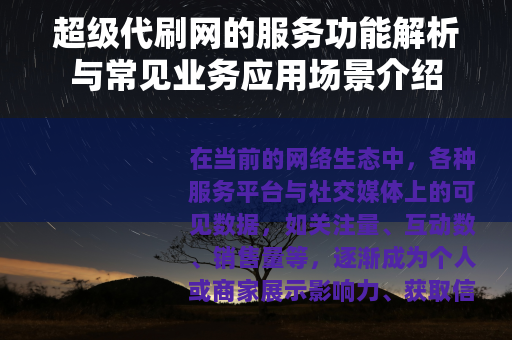 超级代刷网的服务功能解析与常见业务应用场景介绍