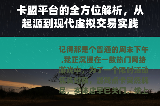 卡盟平台的全方位解析，从起源到现代虚拟交易实践
