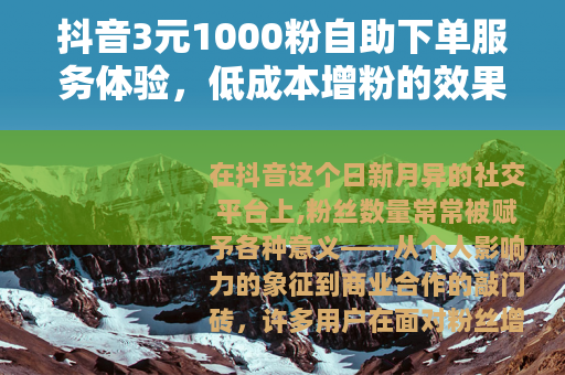 抖音3元1000粉自助下单服务体验，低成本增粉的效果与操作分享
