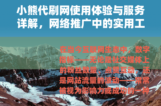 小熊代刷网使用体验与服务详解，网络推广中的实用工具与操作指南