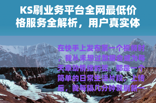 KS刷业务平台全网最低价格服务全解析，用户真实体验与选择建议