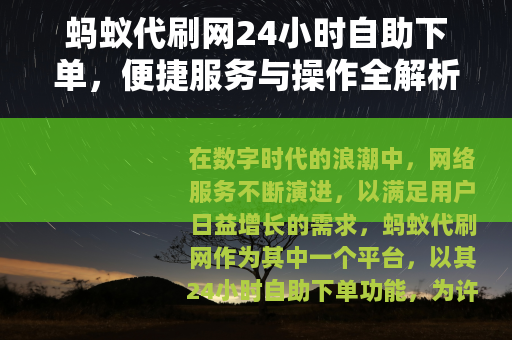 蚂蚁代刷网24小时自助下单，便捷服务与操作全解析