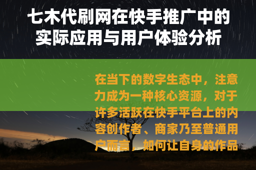 七木代刷网在快手推广中的实际应用与用户体验分析