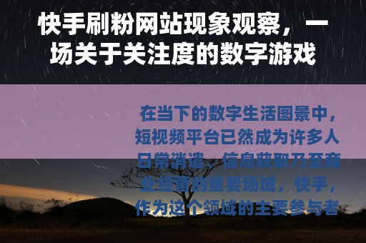 快手刷粉网站现象观察，一场关于关注度的数字游戏