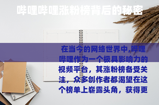 哔哩哔哩涨粉榜背后的秘密