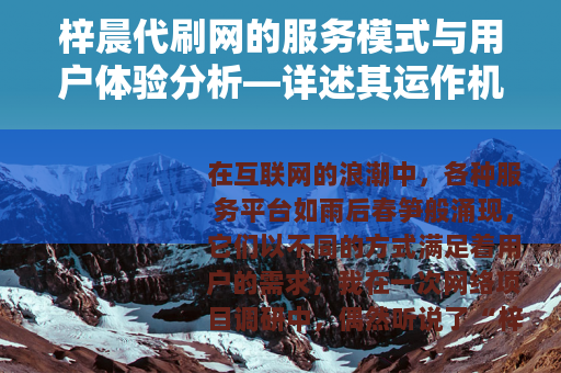 梓晨代刷网的服务模式与用户体验分析—详述其运作机制与市场定位