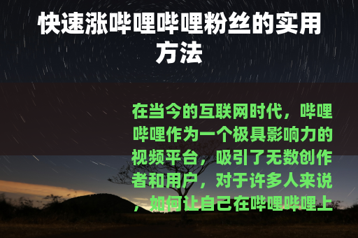 快速涨哔哩哔哩粉丝的实用方法