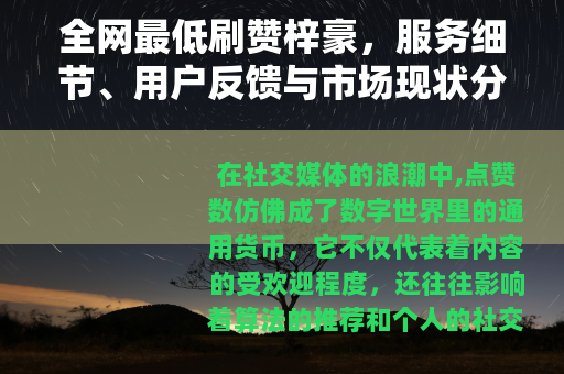 全网最低刷赞梓豪，服务细节、用户反馈与市场现状分析