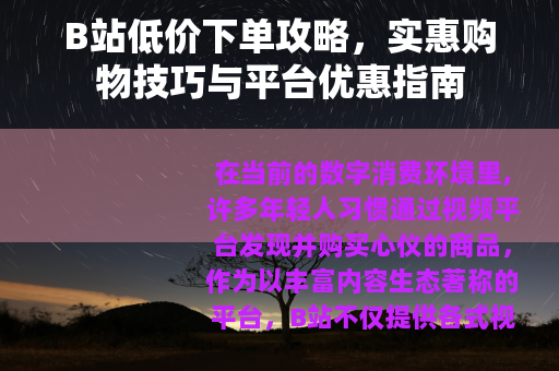 B站低价下单攻略，实惠购物技巧与平台优惠指南