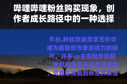 哔哩哔哩粉丝购买现象，创作者成长路径中的一种选择