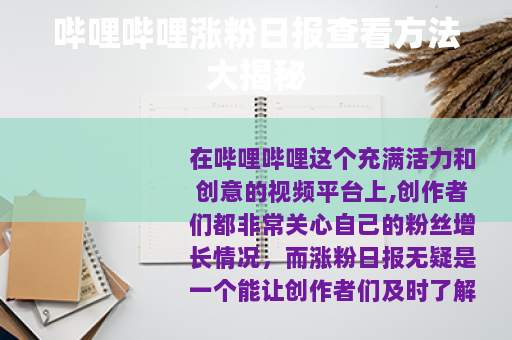 哔哩哔哩涨粉日报查看方法大揭秘