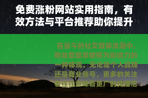 免费涨粉网站实用指南，有效方法与平台推荐助你提升社交影响力
