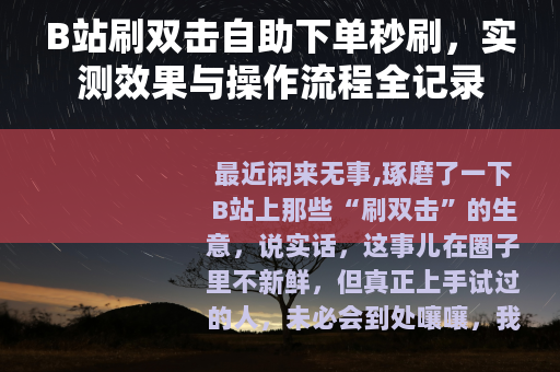 B站刷双击自助下单秒刷，实测效果与操作流程全记录