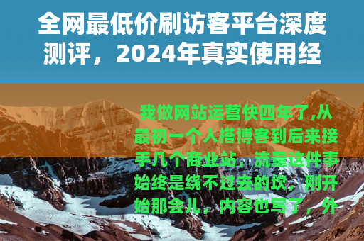 全网最低价刷访客平台深度测评，2024年真实使用经验分享