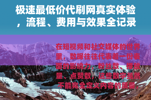 极速最低价代刷网真实体验，流程、费用与效果全记录