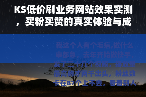 KS低价刷业务网站效果实测，买粉买赞的真实体验与成本分析