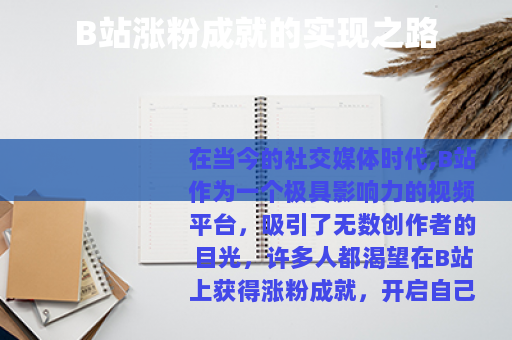 B站涨粉成就的实现之路