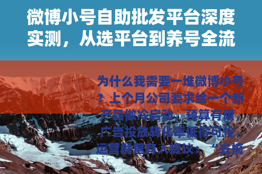 微博小号自助批发平台深度实测，从选平台到养号全流程指南