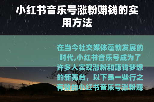 小红书音乐号涨粉赚钱的实用方法