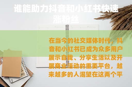 谁能助力抖音和小红书快速涨粉丝