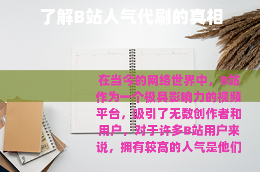 了解B站人气代刷的真相