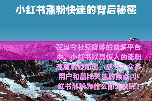 小红书涨粉快速的背后秘密