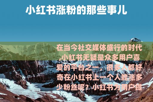 小红书涨粉的那些事儿