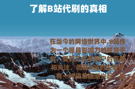 了解B站代刷的真相