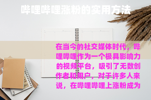 哔哩哔哩涨粉的实用方法