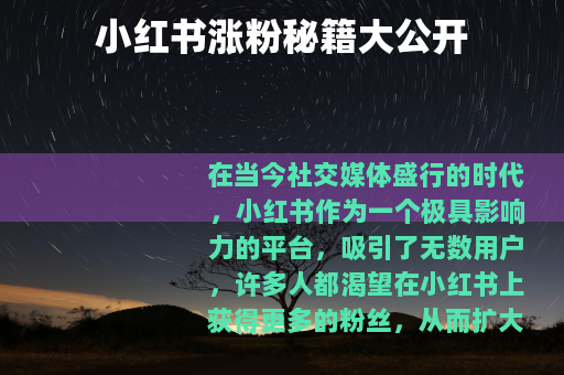 小红书涨粉秘籍大公开