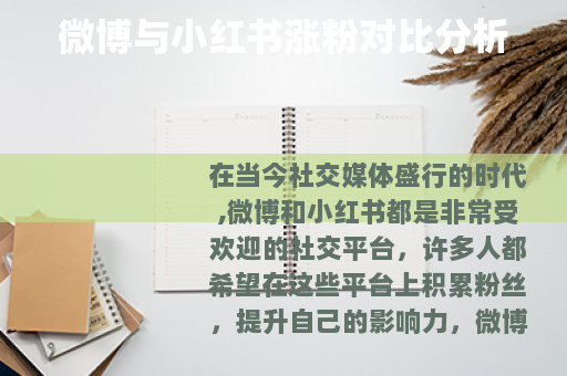 微博与小红书涨粉对比分析