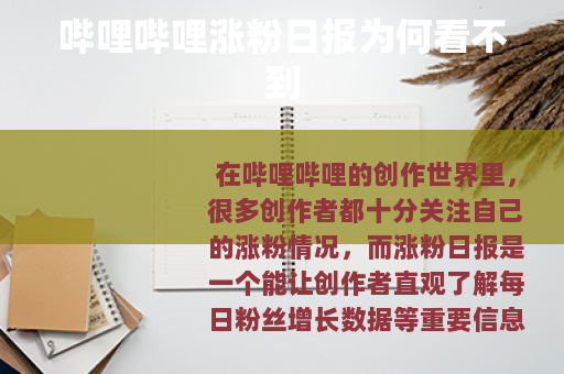 哔哩哔哩涨粉日报为何看不到