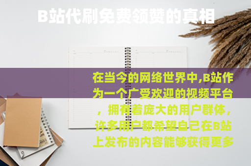 B站代刷免费领赞的真相